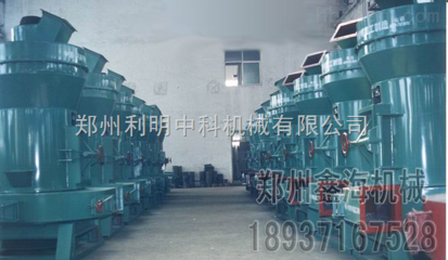 湖南雷蒙磨 質高價優獲客戶滿分好評，閃耀中國環保設備展覽網